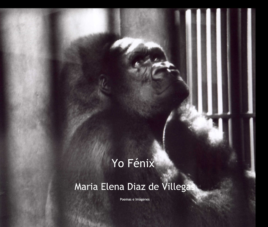 María díaz de villegas Yo_Fenix_book-XL