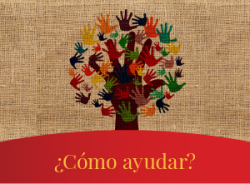 ¿Cómo apoyar? ¿Cómo apoyar?